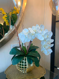 Arreglo de Orquideas Blanca Base dorada