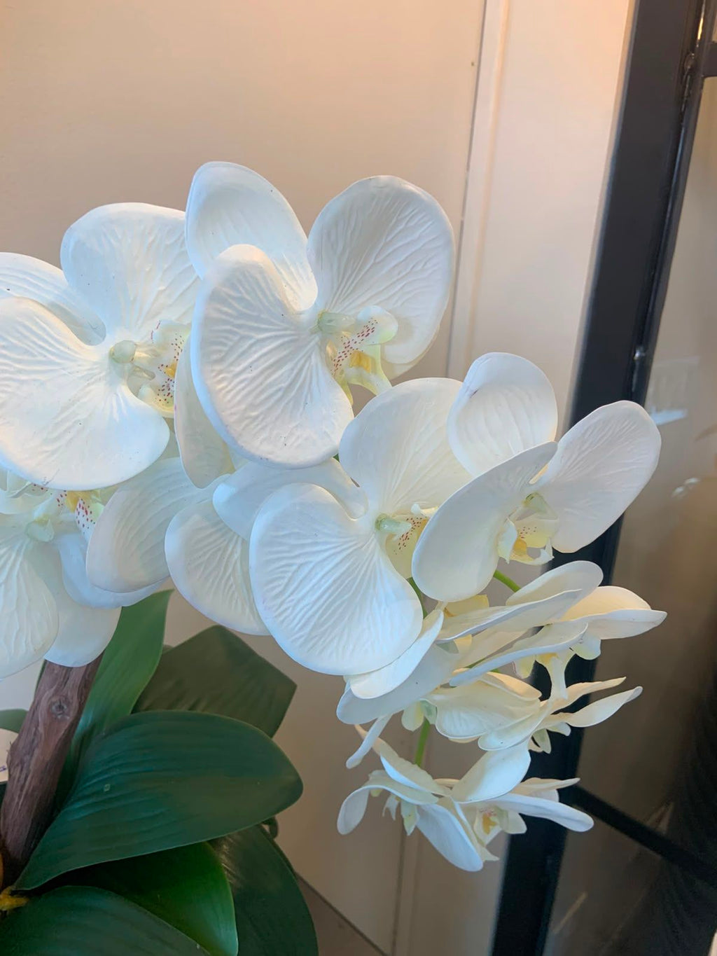 Arreglo de Orquideas Blanca Base dorada – vista 2