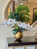 Arreglo Orquídeas Blancas Largo