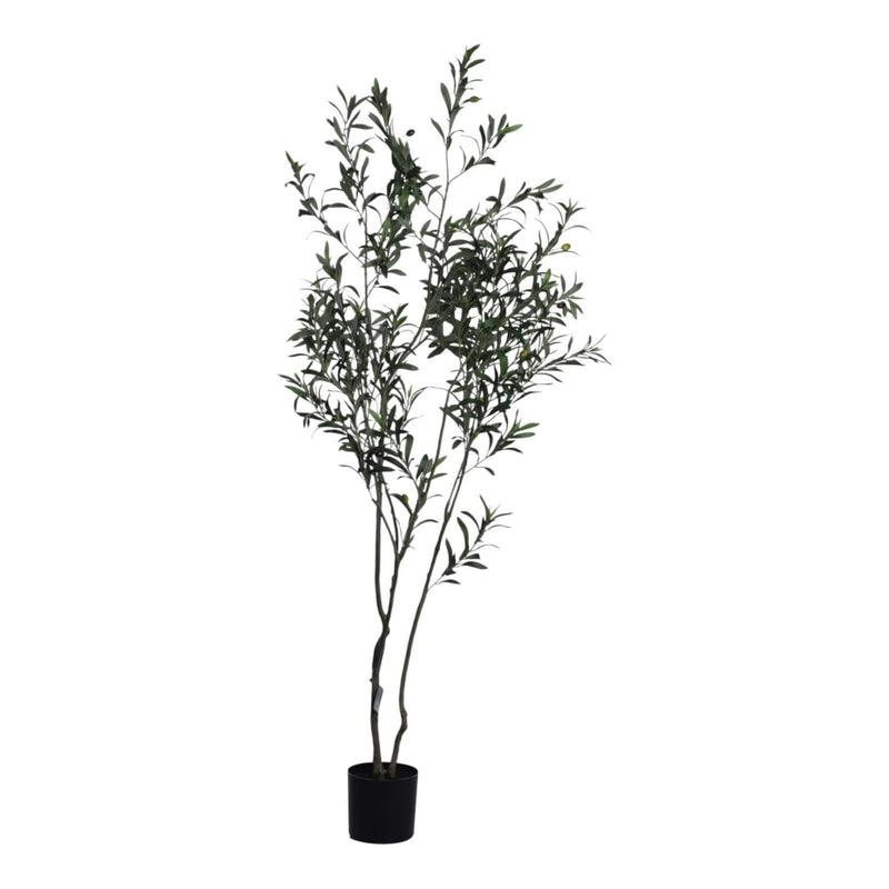 Planta Artificial Olivo