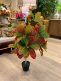 Planta Croto Artificial