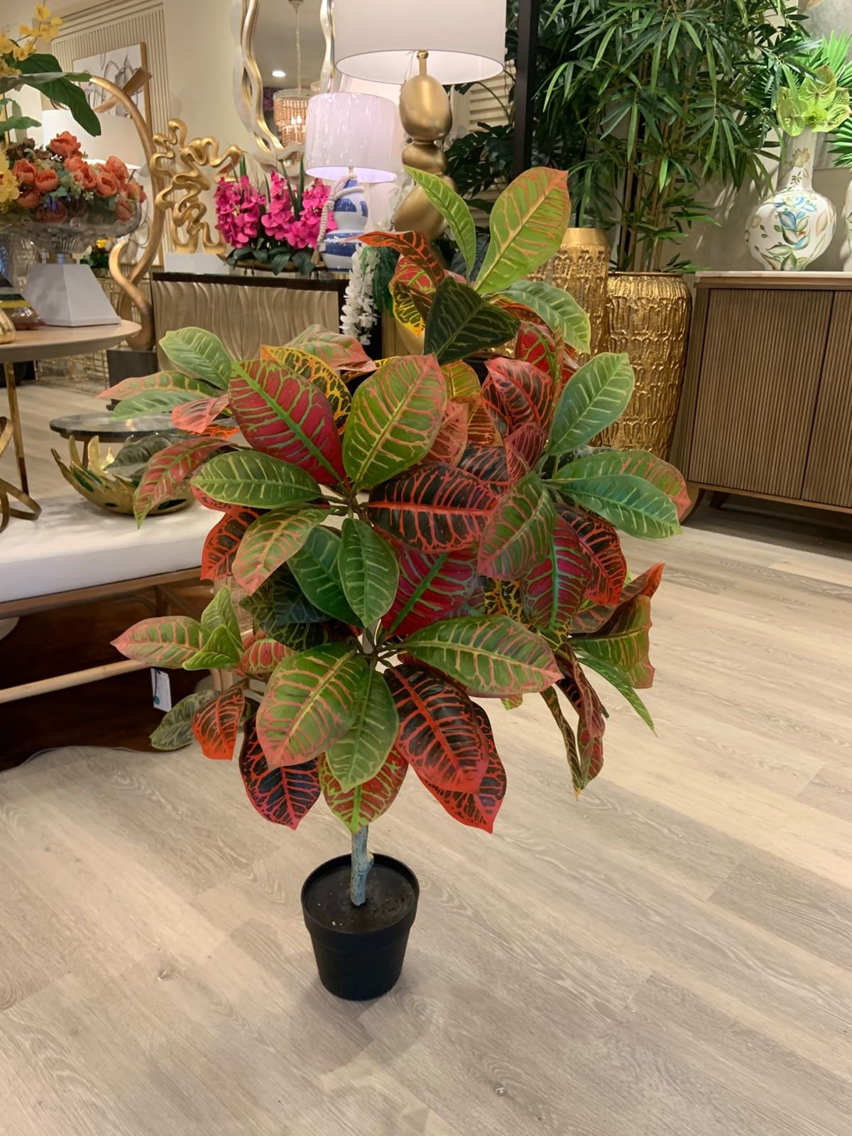 Planta Croto Artificial